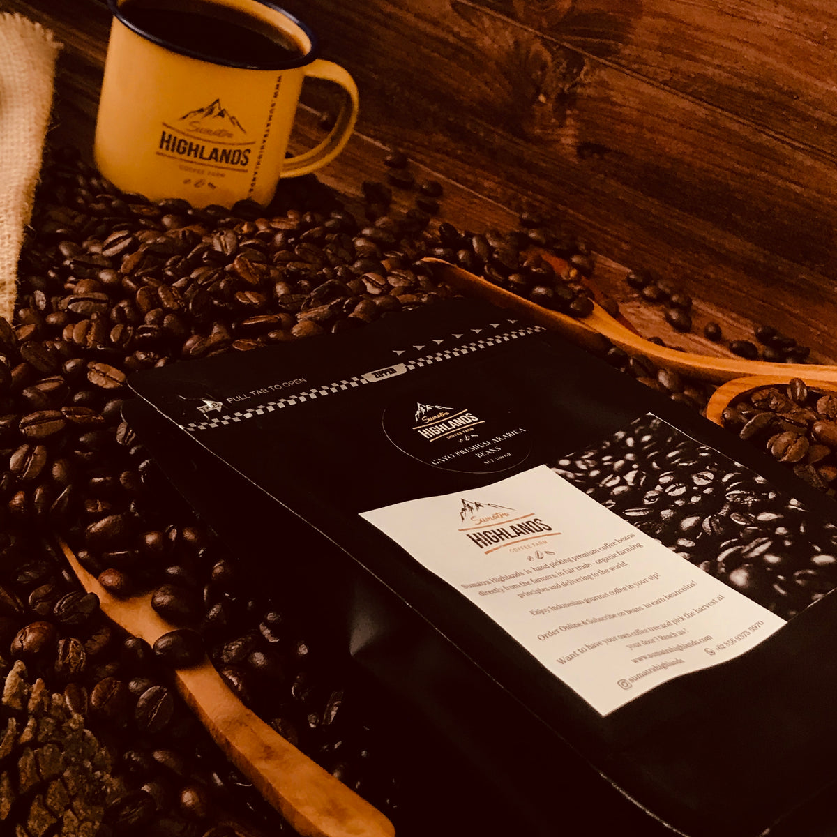 GAYO PREMIUM ARABICA – sumatrahighlands